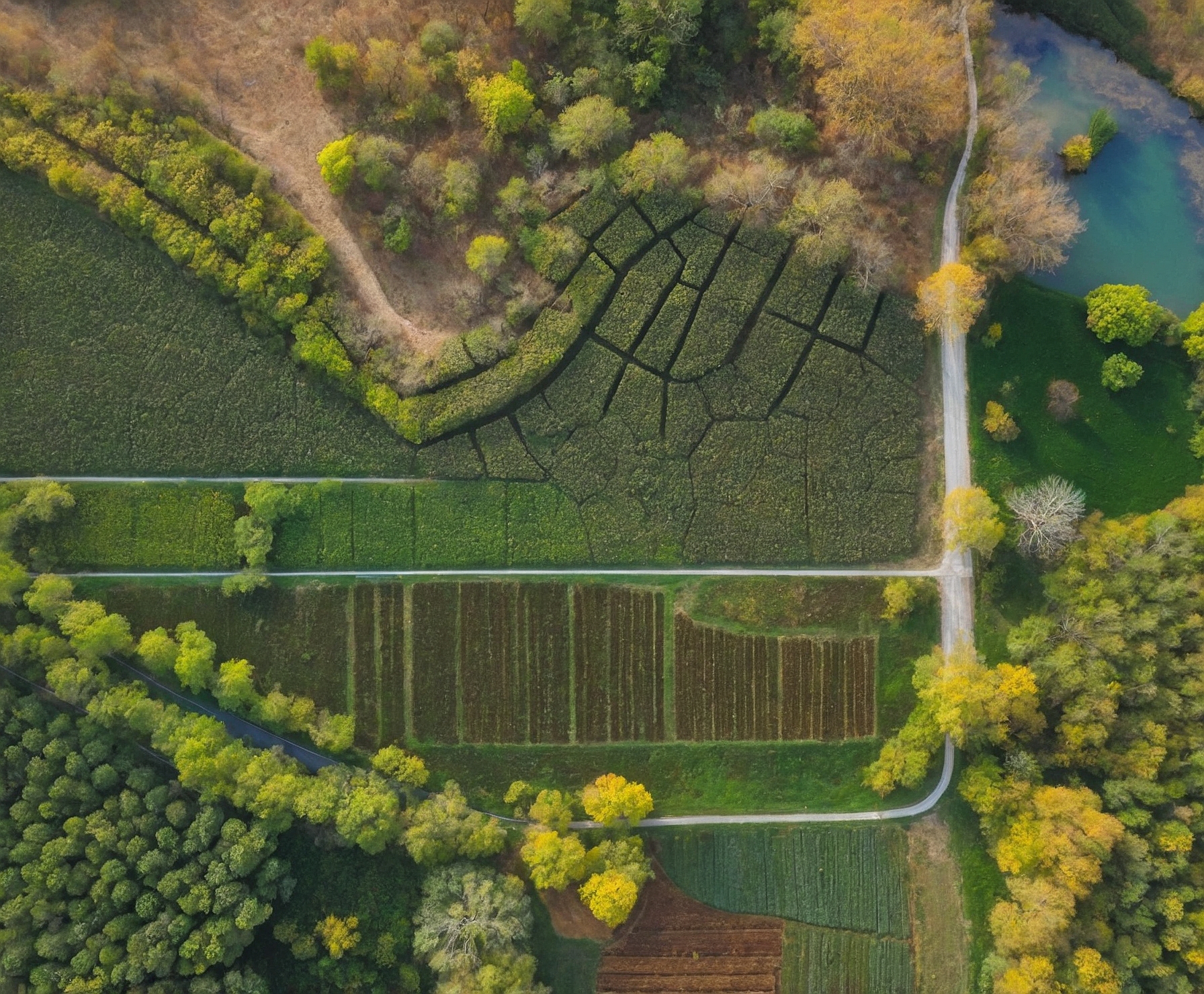 Soluciones sostenibles para bosques y agricultura